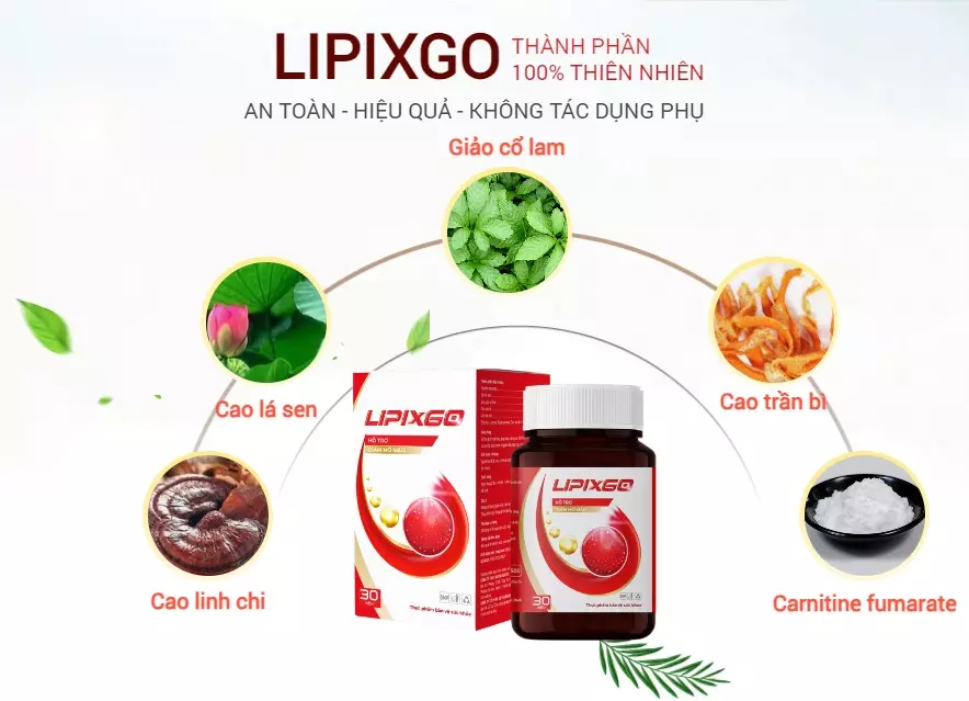 Thành phần của viên uống Lipixgo giảm mỡ máu