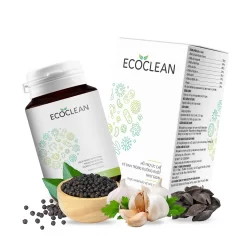 ecoclean