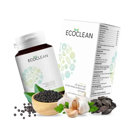 ecoclean