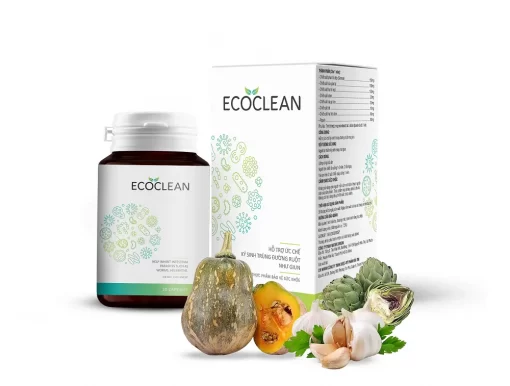 ecoclean