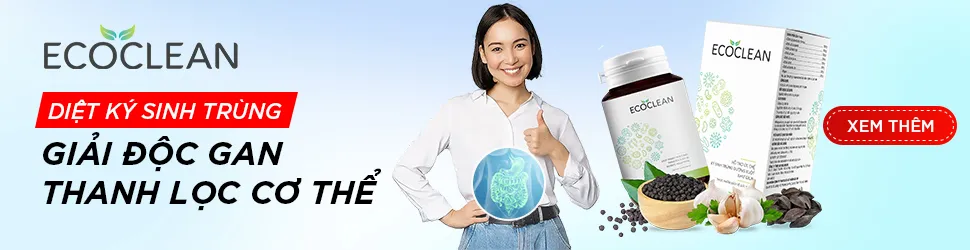 Ecoclean có tốt không