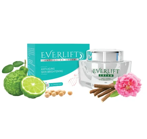 Everlift my