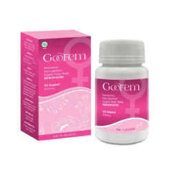 Goofem