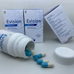 Evision